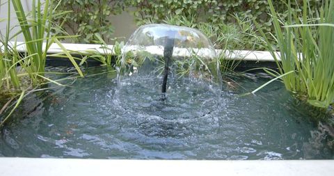tranquil garden pond with bubbling water feature - Download Free Stock Images Pikwizard.com