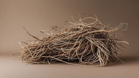 Organic nest-like sculpture made of dried tumbleweed twigs and vines