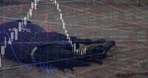 Economic collapse symbolized by fallen person and stock market chart overlay