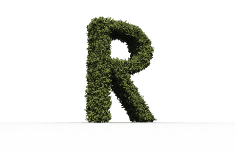 grass letter r on transparent background nature concept - Download Free Stock Videos Pikwizard.com