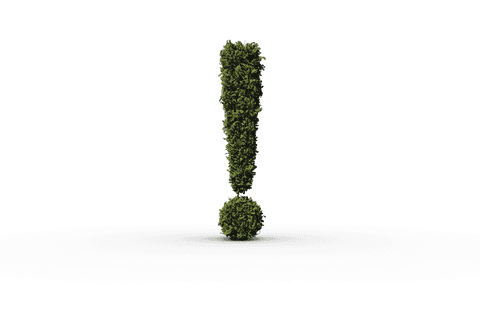 exclamation mark made of lush green leaves isolated on transparent background - Download Free Stock Videos Pikwizard.com