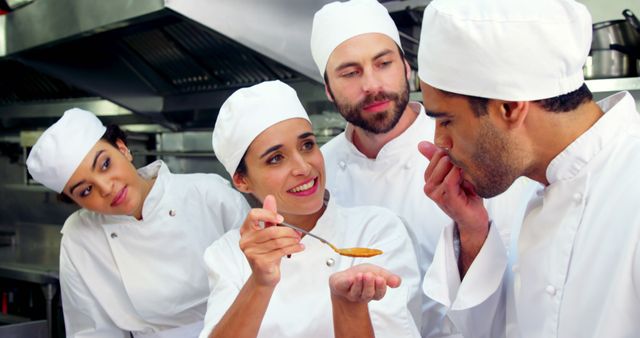 Chefs Tasting and Approving Food in Professional Kitchen - Download Free Stock Images Pikwizard.com