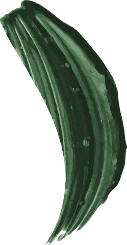 transparent abstract curved green vector brush stroke with flow - Download Free Stock Videos Pikwizard.com