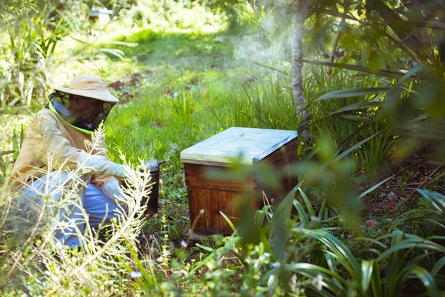 Caucasian senior man wearing beekeeper uniform trying to calm bees with smoke. beekeeping, apiary and honey production concept.