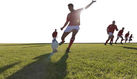 rugby players in action transparent background sport competition - Download Free Stock Videos Pikwizard.com