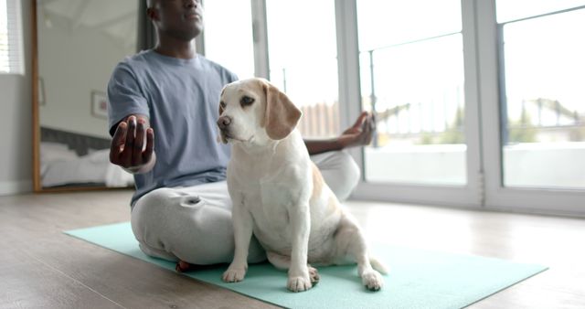 Man practicing yoga at home with dog sitting on yoga mat. Senior beagle joining for relaxation and stretching session. Ideal for content related to pets, fitness, wellness, home workouts, meditation, and the human-animal bond.