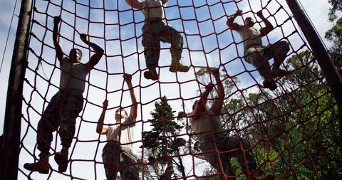 Military Challenge on Outdoor Obstacle Course - Download Free Stock Images Pikwizard.com
