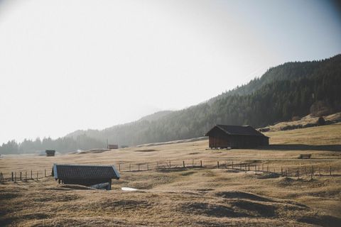 Rustic Barns in Peaceful Rural Landscape in Morning Light