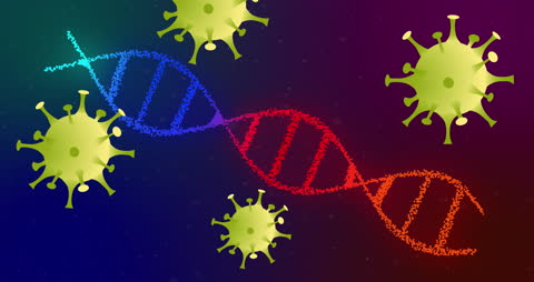 COVID-19 Virus Cells Interacting with DNA Strand in Digital Animation