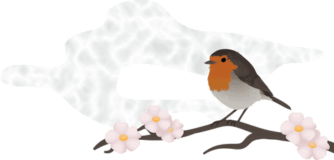 Flat design robin style bird on branch with blossoms, transparent illustration
