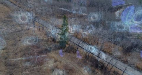 Aerial boardwalk winding through wetland meadow with augmented reality data overlays