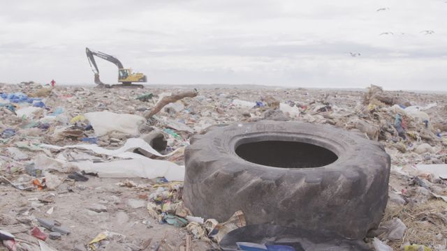 Excavator clearing piles of waste material at a large landfill shows seriousness of waste disposal challenges. Birds flying overhead depict ongoing life surrounding pollution sites. Use for articles, presentations on waste management, environmental awareness or pollution studies.