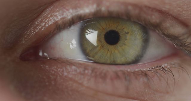 Close-up of a person's eye, capturing intricate details. The image emphasizes the unique patterns and colors of the human iris.