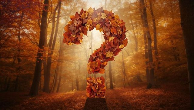 Autumn Leaves Question Mark Sculpture in Misty Forest