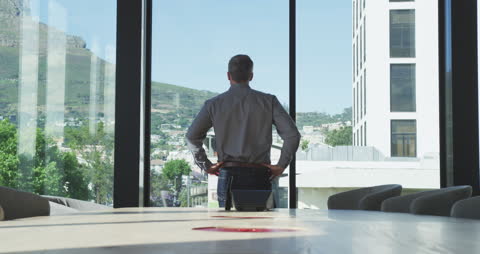 Business Professional Taking Break with Scenic View in Modern Office