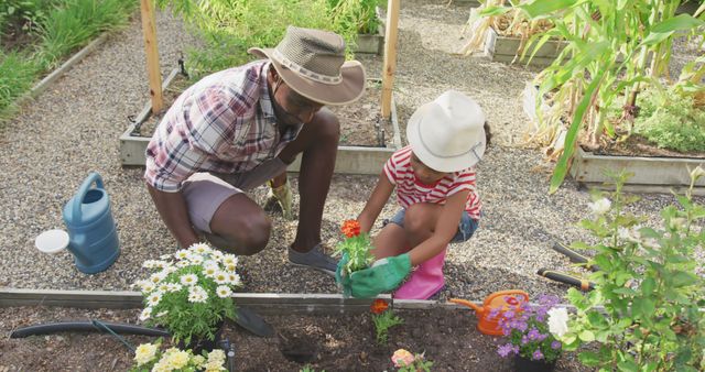 Happy african american father and daughter planting flowers together in garden. Fatherhood, childhood, care, togetherness, hobbies and nature.