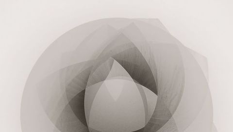 Translucent layered floral abstraction forming concentric orb in grayscale