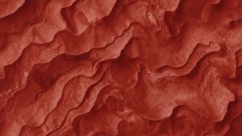 Abstract Organic Texture with Red Wavy Patterns