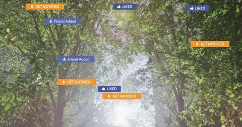 Sunlit Park with Floating Social Media Icons