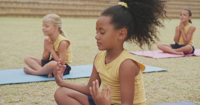 Diverse Group of Children Practicing Outdoor Yoga - Download Free Stock Images Pikwizard.com