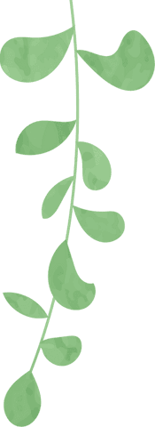 Stylized Green Vine with Mottled Leaves on Transparent Background
