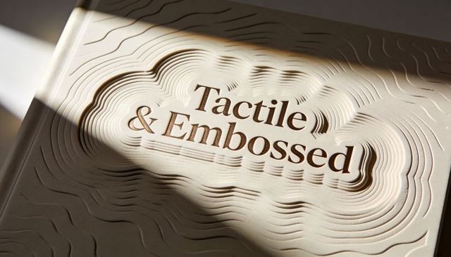 Sunlight revealing embossed topographic book cover with tactile typography and deep shadows