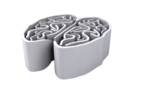 White Brain Illustration with Transparent Background - Download Free Stock Videos Pikwizard.com