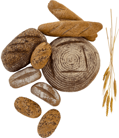 rustic artisan bread assortment on transparent background - Download Free Stock Videos Pikwizard.com