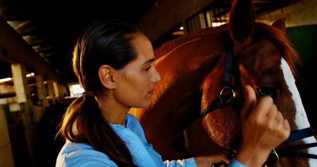 Woman Grooming Horse in Stable - Download Free Stock Images Pikwizard.com