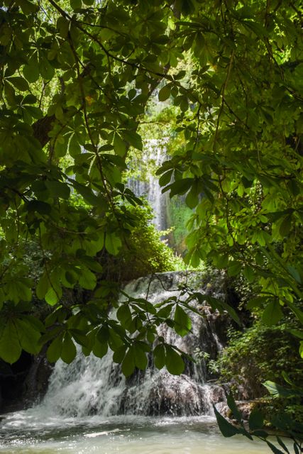 A relaxing scene featuring a hidden waterfall flowing through a rich canopy of green leaves in a forest. Perfect for use in travel brochures, nature magazines, or websites promoting eco-tourism and adventure.