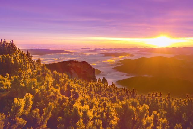 Golden sunlight illuminates mountain ridges and pine trees with mist covering valleys. Perfect for travel brochures, nature photography collections, environmental campaigns, and inspirational posters emphasizing the beauty of nature and the great outdoors.