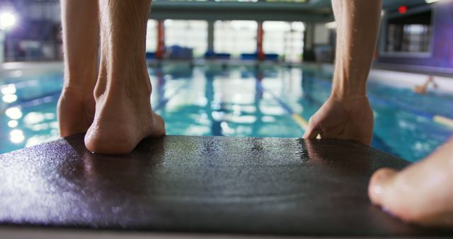 Swimmer Preparing to Dive into Indoor Pool - Download Free Stock Images Pikwizard.com