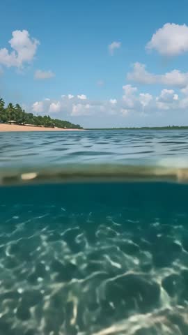 Vertical over-under ocean video tilting between sunlit seafloor and palm-lined coast