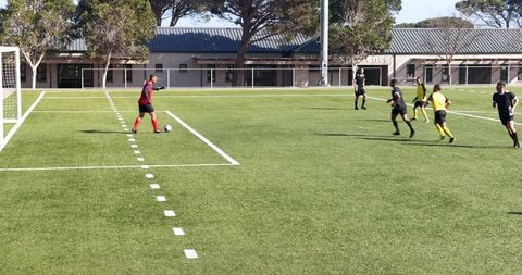 Joyful Soccer Team Celebrating Goal on Sunny Field