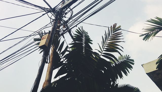 Tangled electrical wires on utility pole with tropical foliage. Useful for illustrating urban infrastructure, power distribution, electricity networks, modern issues in city planning, and environmental juxtaposition in public utilities. Also suits topics related to connectivity and the appearance of neighborhoods where utility wires are prominent.