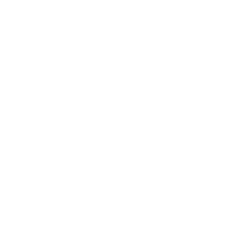 white flower shaped circle with copy space on transparent background - Download Free Stock Videos Pikwizard.com