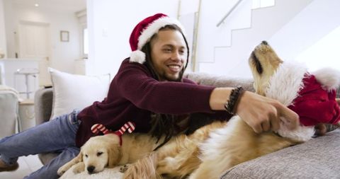 Smiling man relaxing and petting golden retrievers wearing santa hat and candy-cane ears