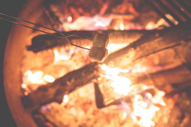 Toasting Marshmallows Over Campfire at Night - Download Free Stock Photos Pikwizard.com