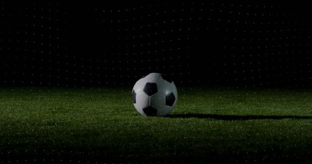 One black and white football lying on green grass on stadium over black background. Sport and ball.