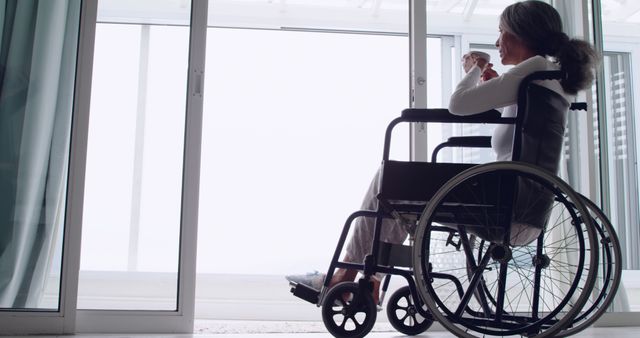 Pensive Woman in Wheelchair Looking Out of Window - Download Free Stock Images Pikwizard.com