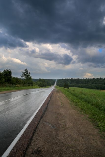 An empty road stretches into the horizon beneath a stormy sky. Flanked by green fields and rolling hills, this isolated scene offers a peaceful, solitary atmosphere perfect for themes related to travel, adventure, and nature. Ideal for use in travel blogs, inspirational posters, and presentations on road trips and rural life.