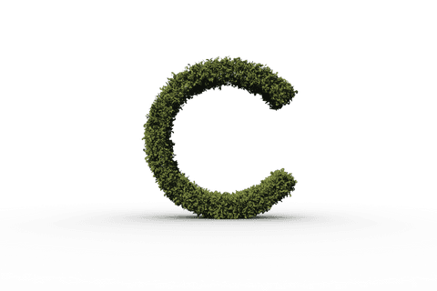 grass-covered letter c transparent design eco theme - Download Free Stock Videos Pikwizard.com