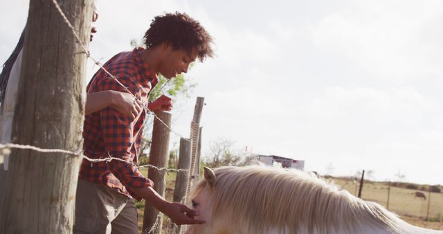Happy african american couple feeding horses together on sunny day, slow motion - Download Free Stock Photos Pikwizard.com