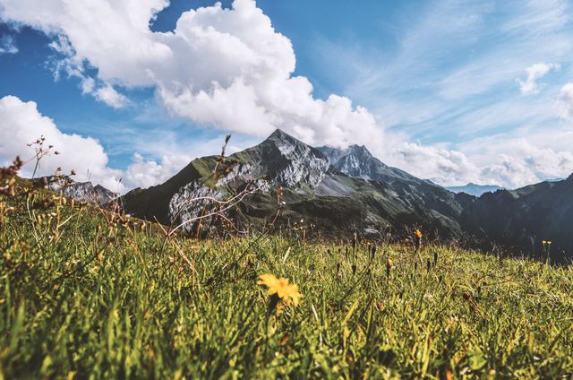 Alpine meadow filled with blooming wildflowers under majestic mountains and blue sky with scattered clouds. Suitable for promoting outdoor activities, travel destinations, nature retreats, posters, wallpapers, and adventure-themed content.