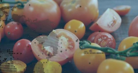 Designer Applying Halftone Overlay to Fresh Red and Yellow Tomatoes on Wooden Surface