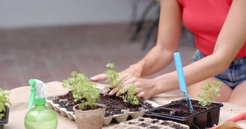 Woman Planting Seedlings on Patio: Ecofriendly Gardening Lifestyle