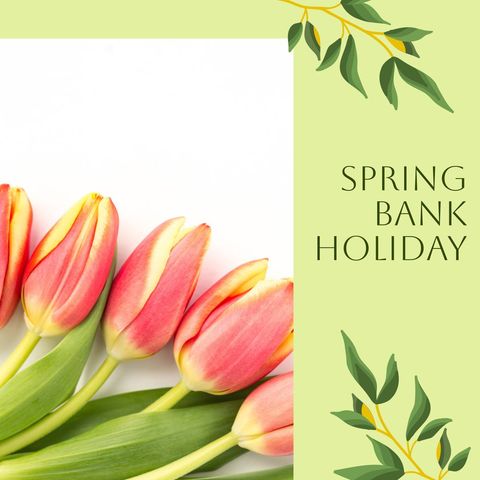 spring bank holiday celebrating with vibrant pink tulips - Download Free Stock Templates Pikwizard.com