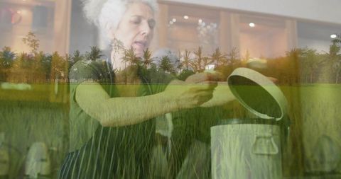 Senior woman lifting canister lid in kitchen double exposure with lush rice field and palms