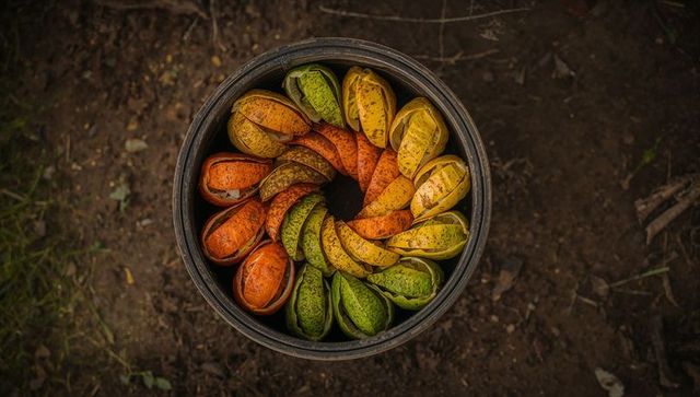 Colorful spiral of tropical seed pods in rustic metal bucket on earth, green amber orange gradient