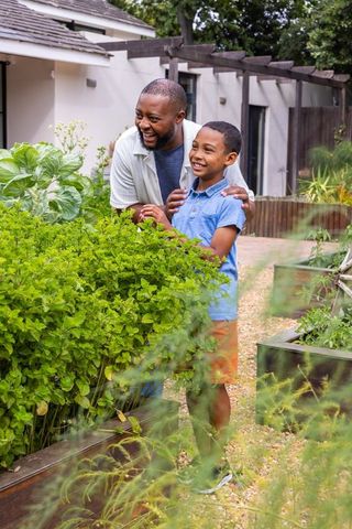 African american father and son tending backyard herb garden, teaching gardening and bonding
